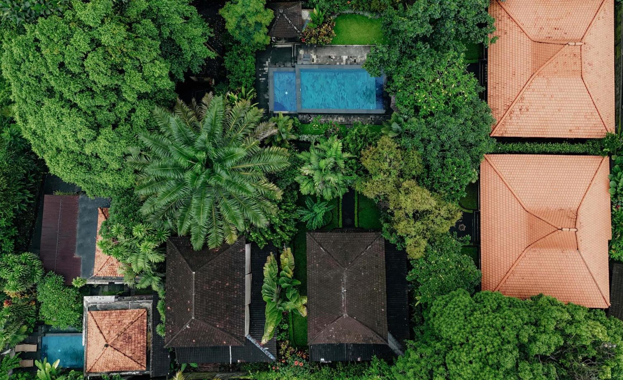 Sari Bamboo Villas Ubud Extérieur photo